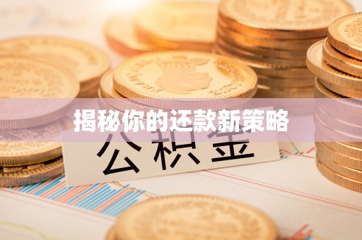 峨眉揭秘你的还款新策略
