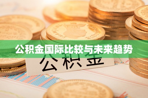 峨眉公积金国际比较与未来趋势