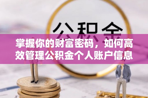 峨眉掌握你的财富密码，如何高效管理公积金个人账户信息