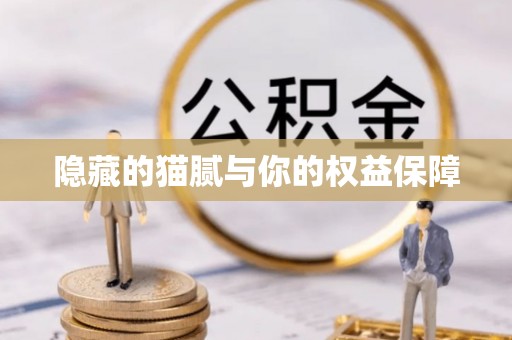 峨眉隐藏的猫腻与你的权益保障