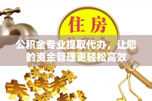 峨眉公积金专业提取代办，让您的资金管理更轻松高效