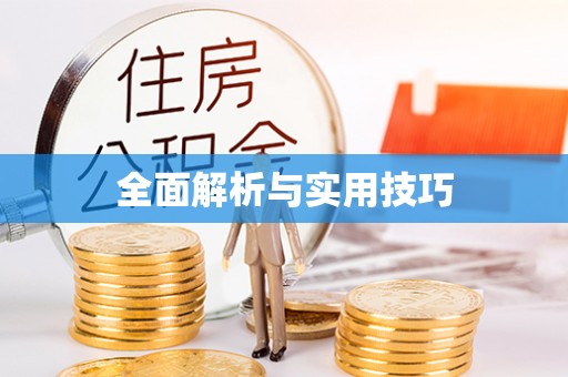 峨眉全面解析与实用技巧