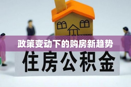 峨眉政策变动下的购房新趋势