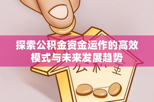 峨眉探索公积金资金运作的高效模式与未来发展趋势