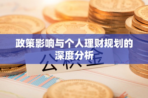 峨眉政策影响与个人理财规划的深度分析