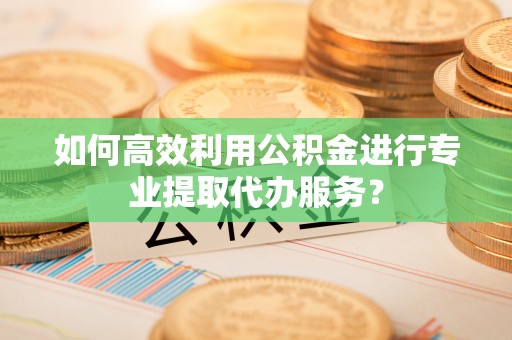 峨眉如何高效利用公积金进行专业提取代办服务？