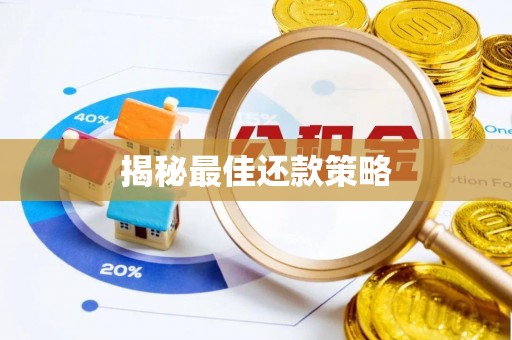 峨眉揭秘最佳还款策略