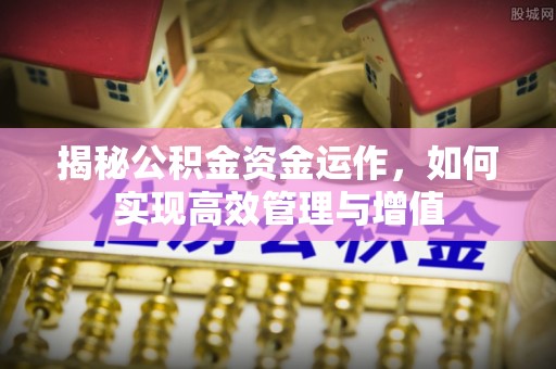 峨眉揭秘公积金资金运作，如何实现高效管理与增值
